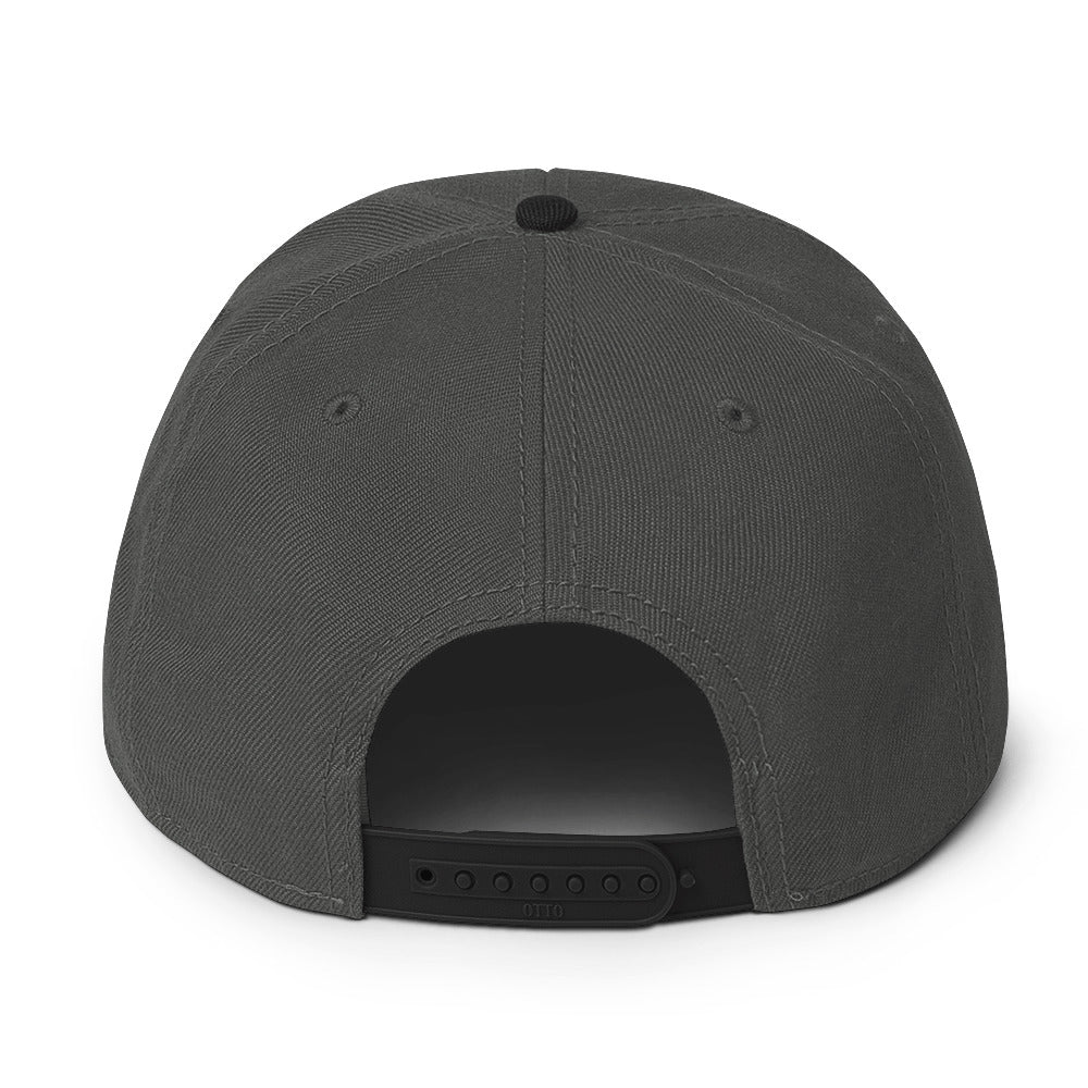 RDF Logo Snapback Hat