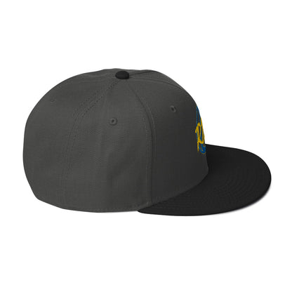 RDF Logo Snapback Hat