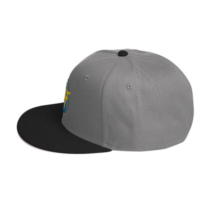 RDF Logo Snapback Hat