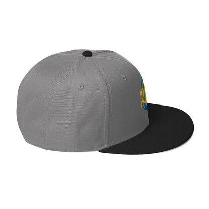 RDF Logo Snapback Hat