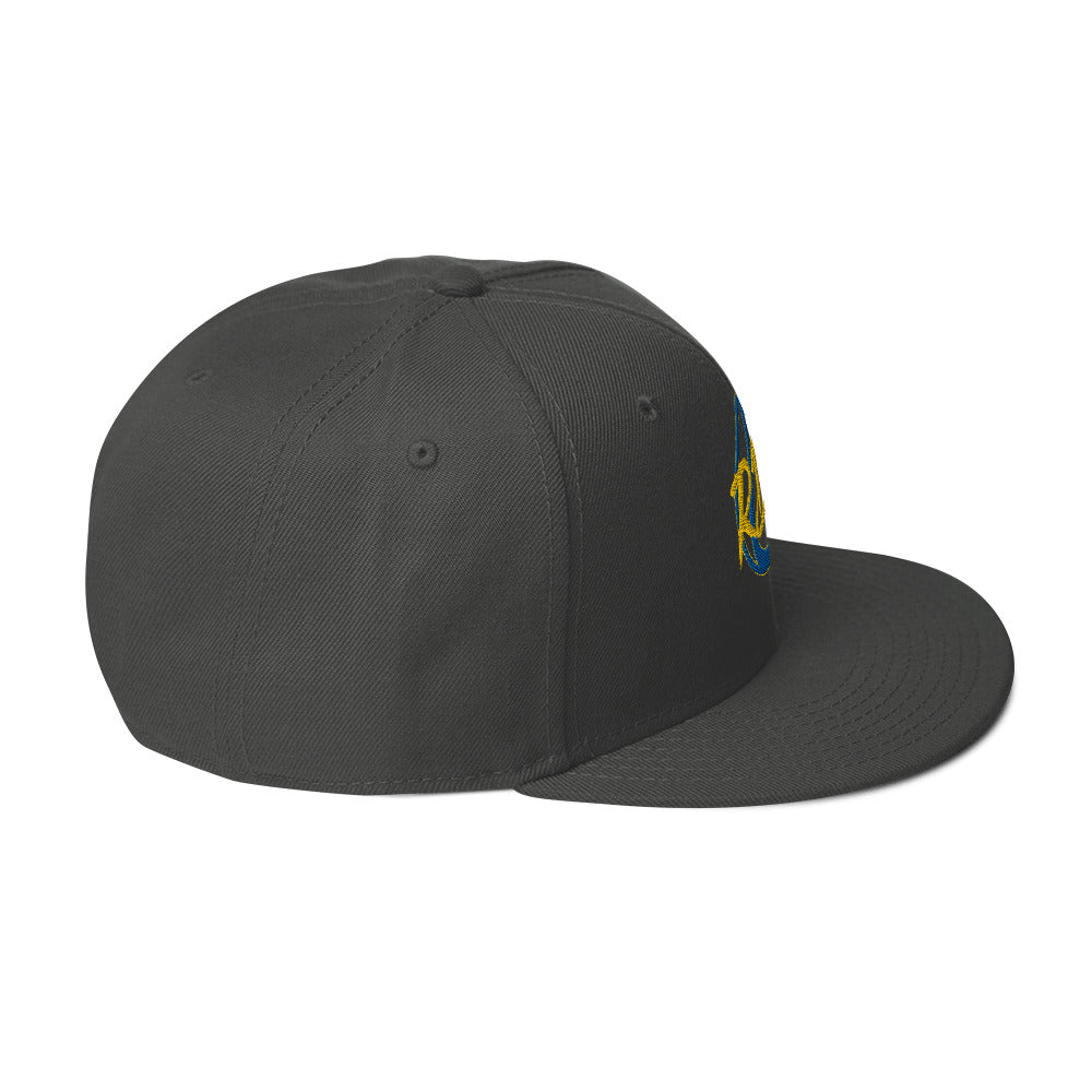 RDF Logo Snapback Hat