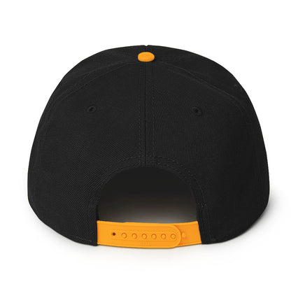 RDF Logo Snapback Hat