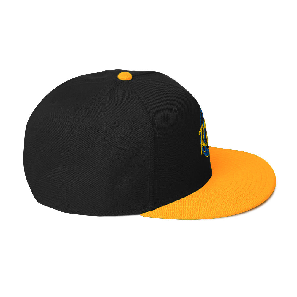 RDF Logo Snapback Hat